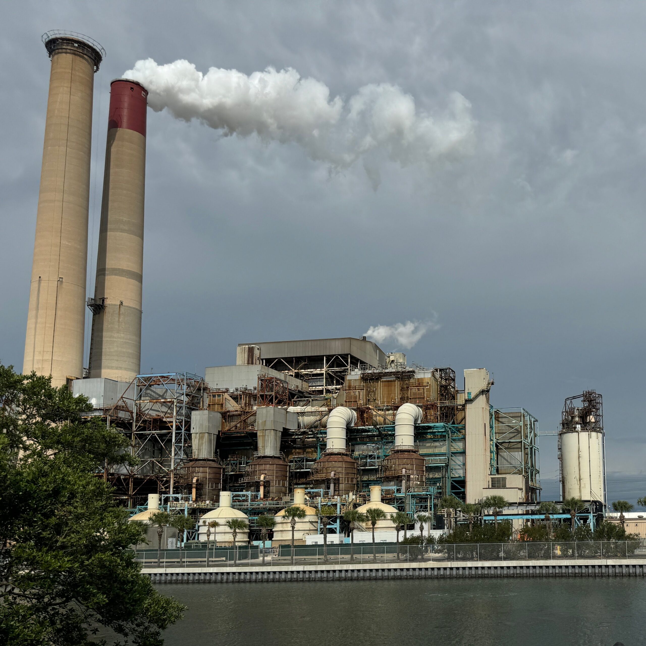 Landscape of tampa bay electric